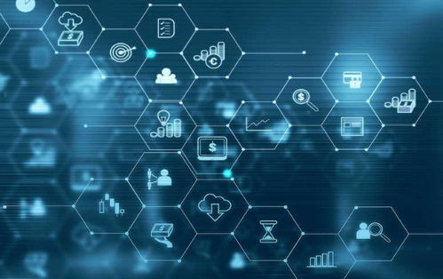 爱维龙媒 数字化转型需要 数字化 文化的支撑